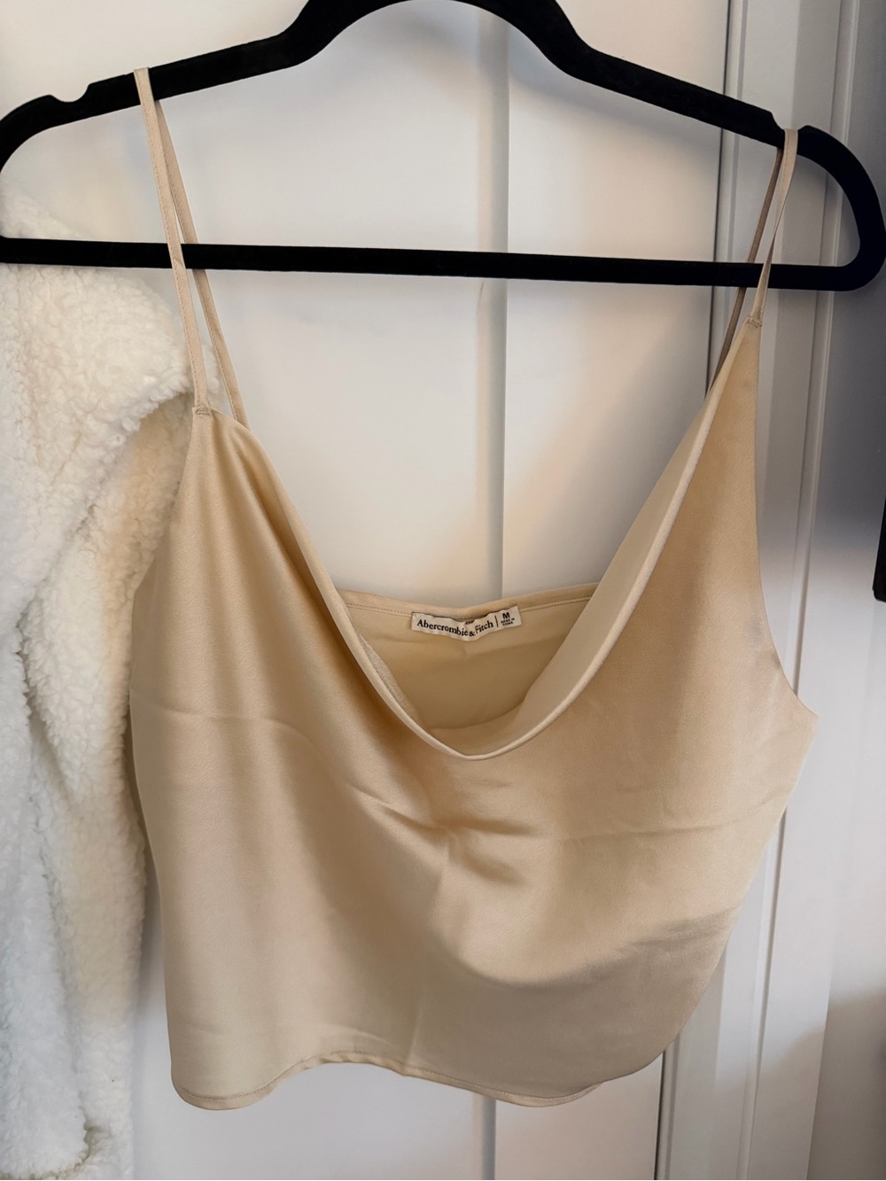 Abercrombie & Fitch Beige Satin Cowl-Neck Camisole
